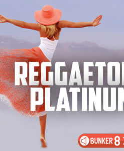 image: reggaeton-platinum-art
