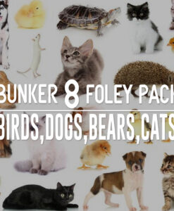 Bunker-8-Foley-Pack-Birds-Dogs-Bears-Cats